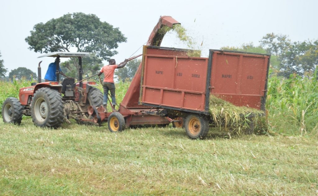 NAPRI begins silage making to conserve animal feeds against dry season