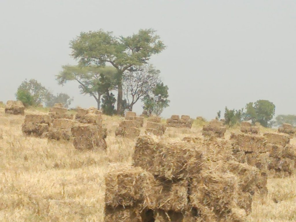 NAPRI targets 30,000 bales of hay this season as pasture harvest still ongoing