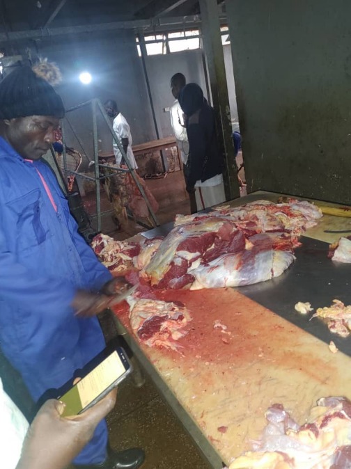 Under its beef research programme, NAPRI plans to slaughter 500 cattle in 2026