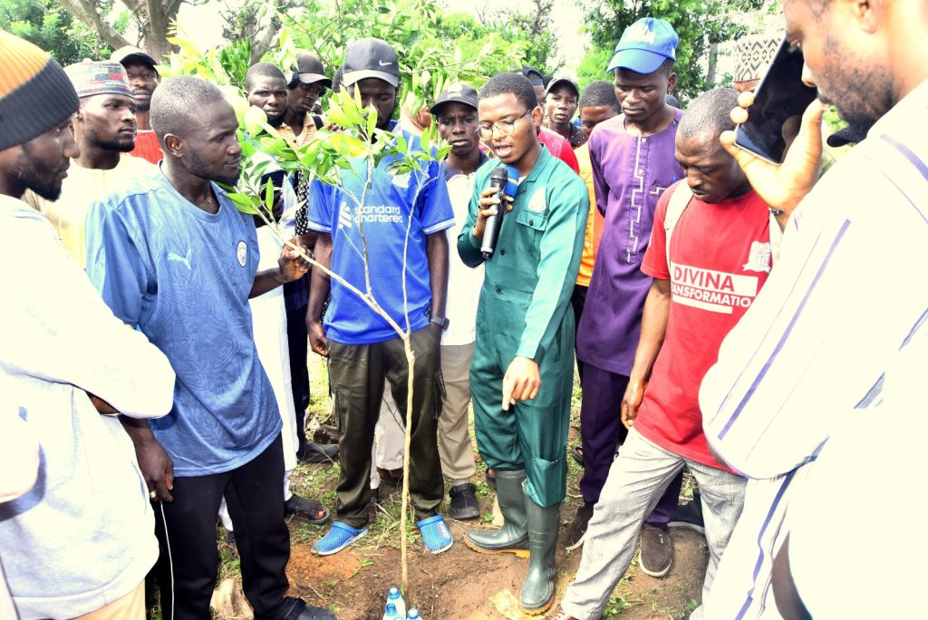 ABU launches orange plantation project to promote environmental sustainability, revenue generation
